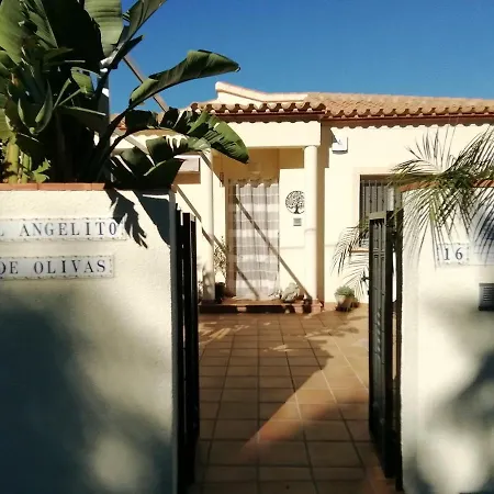 Guest House El Angelito De Olivas Pedreguer Esterno foto