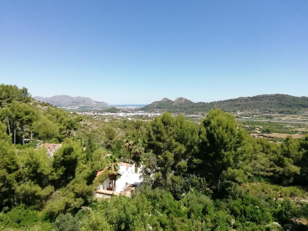 El Angelito De Olivas Pedreguer